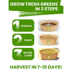 Cat Grass Kit for Indoor Cats, 3 Pack Fast Growing Cat Grass Kit with Eco-Friendly Biodegradable Pots, Soil & Wheatgrass Seeds, Grows in 3-7 Days with High Germination Rate