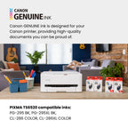 Canon PIXMA TS6520 Wireless Color Inkjet Printer, Duplex Printing, Copier/Scanner, 1.42" OLED Display, Compact, White