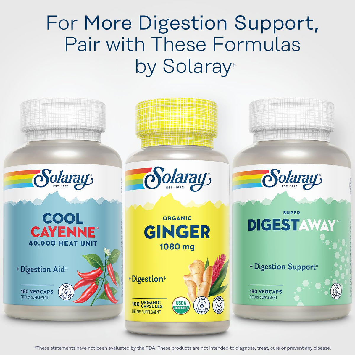 SOLARAY Organic Ginger Root 540 mg, 100 VegCaps