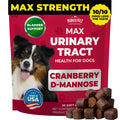 Mighty Petz MAX Cranberry for Dog UTI Treatment - MAX Strength Cranberry Supplement for Dogs + D-Mannose. Bladder Control for Dogs. Urinary Tract Care & Kidney Support Chews