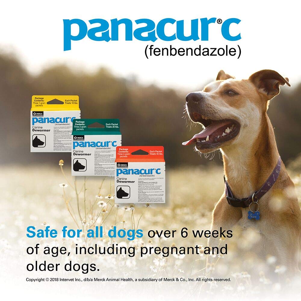 Panacur C Canine Dewormer (fenbendazole), 2 gram,White