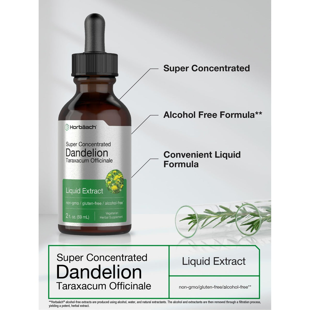 Horbäach Dandelion Root Extract Supplement| 2 fl oz | Super Concentrated