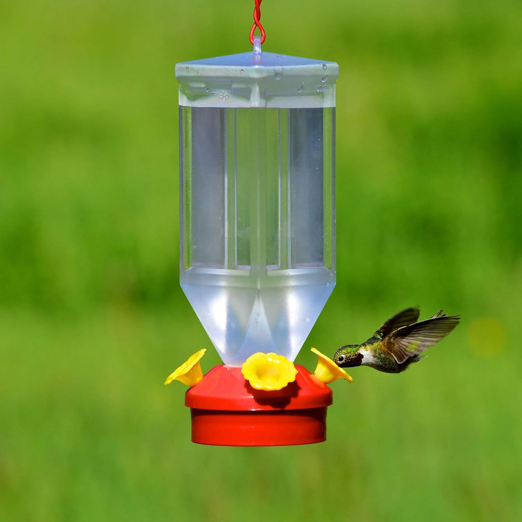Buy now Perky-Pet 201 Lantern Hummingbird Feeder- 18 oz, Red at indiglob india