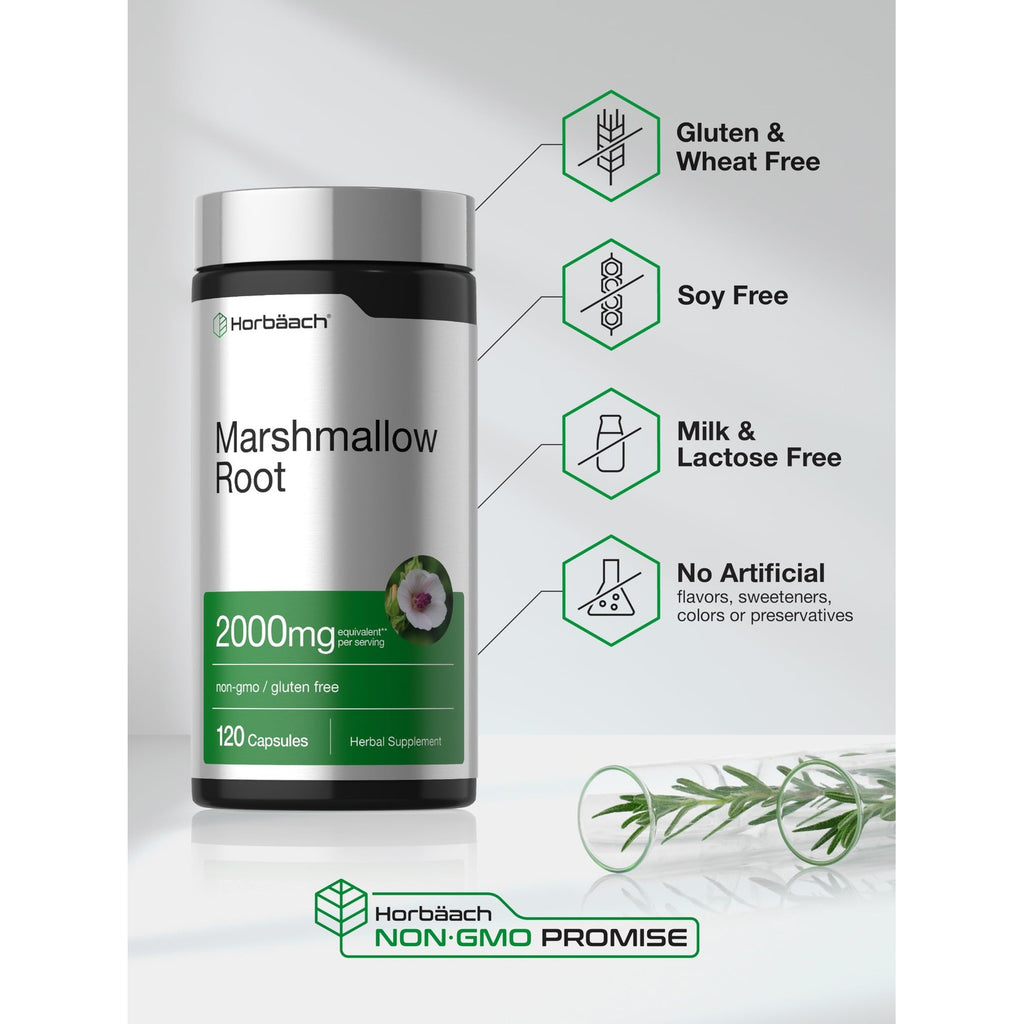 Horbäach Marshmallow Root Capsules | 120 Count | Non-GMO & Gluten Free