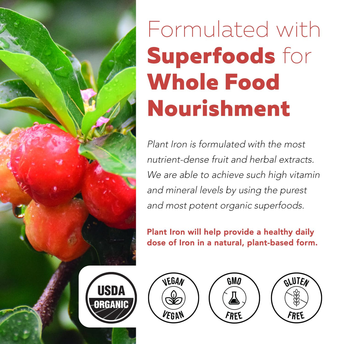 Organic Iron Supplement, Whole Food Mineral & Cofactors, 25mg, Gentle Form
