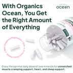 Organics Ocean Pure Magnesium Glycinate with Zinc - Maximum Strength Chelated Magnesium Supplement for Women and Men for Muscle Cramps and Sleep Support - 6 Bottles