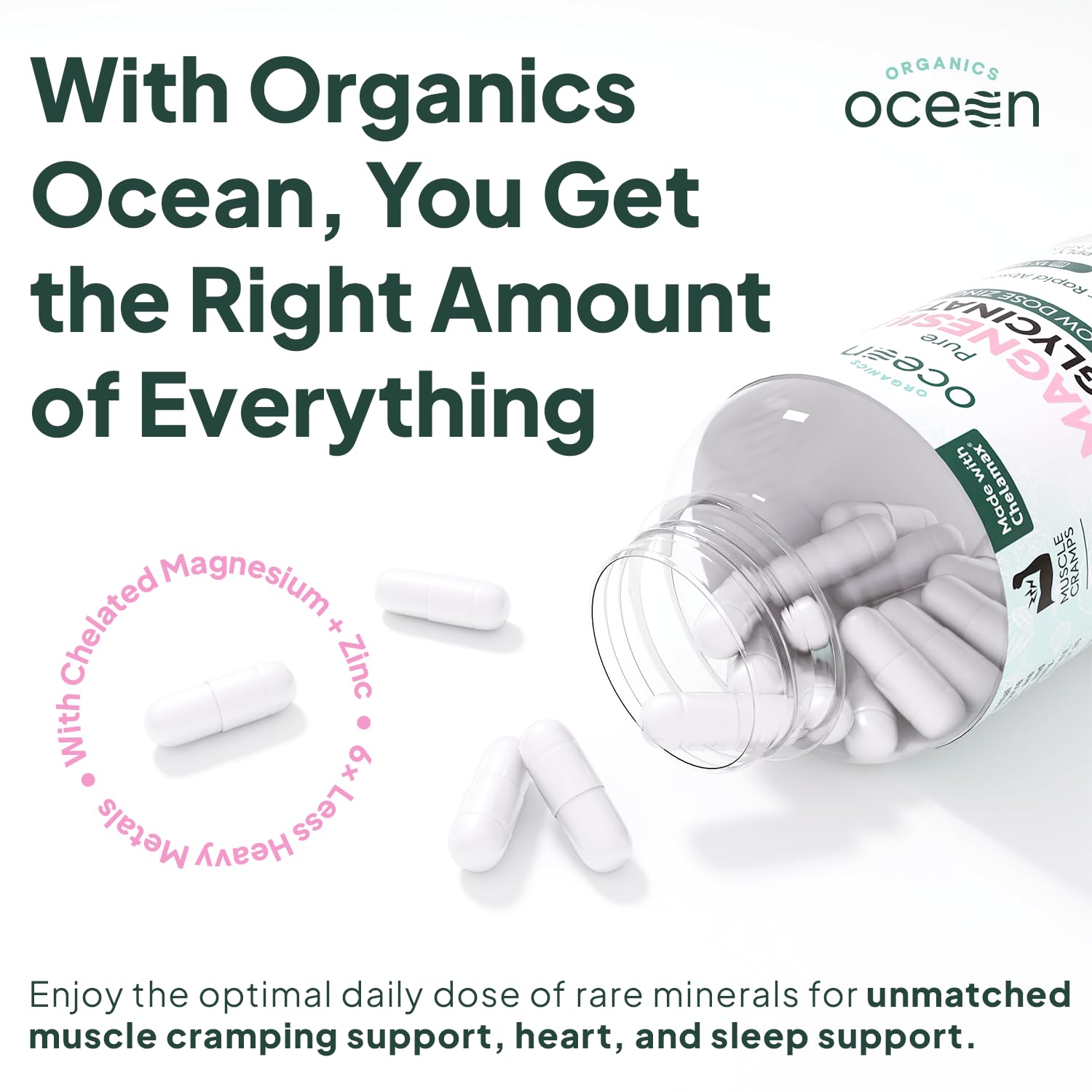 Organics Ocean Pure Magnesium Glycinate with Zinc - Maximum Strength Chelated Magnesium Supplement for Women and Men for Muscle Cramps and Sleep Support - 6 Bottles