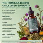 Liver Support Drops with Milk Thistle, NAC & Dandelion | 2 fl oz