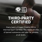 Kaged Creatine HCl Powder | 7X Concentrated vs Mono | Muscle Building & Recovery | High Absorption | No Bloating | Creatine for Men & Women | Vegan, Gluten Free | Fruit Punch | 75 Servings