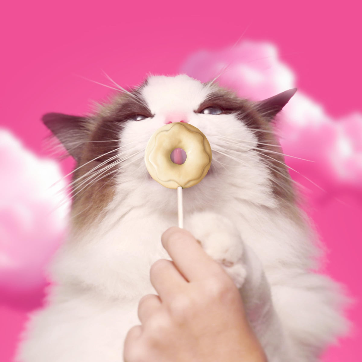 Bonkers Purrpops Krispy Kreme Edition Freeze-Dried Chicken Flavored Lollipop Cat Treats, 4 Pieces (Pack of 12)