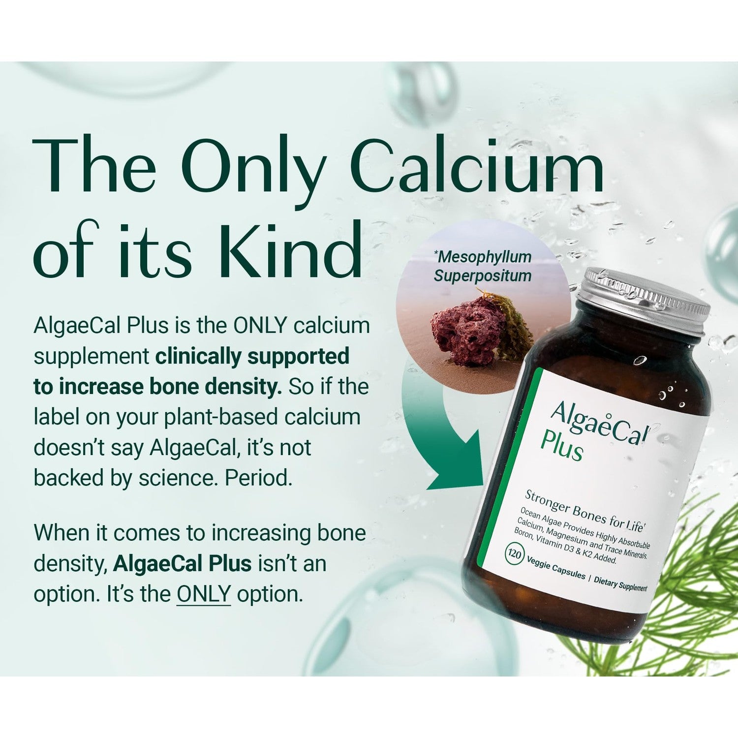 ALGAECAL Bone Builder Pack, Calcium + Strontium for Bone Density, 1 Month | Plant calcium (720mg) plus strontium, D3 (1600IU), K2 (100mg), magnesium (350mg) & 16 nutrients for bone density support.