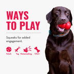 Kong Wubba Assorted Colors Puppy