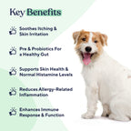 Pawfy Dog Allergy Chews for Itchy Skin & Paw Licking - Immune Support