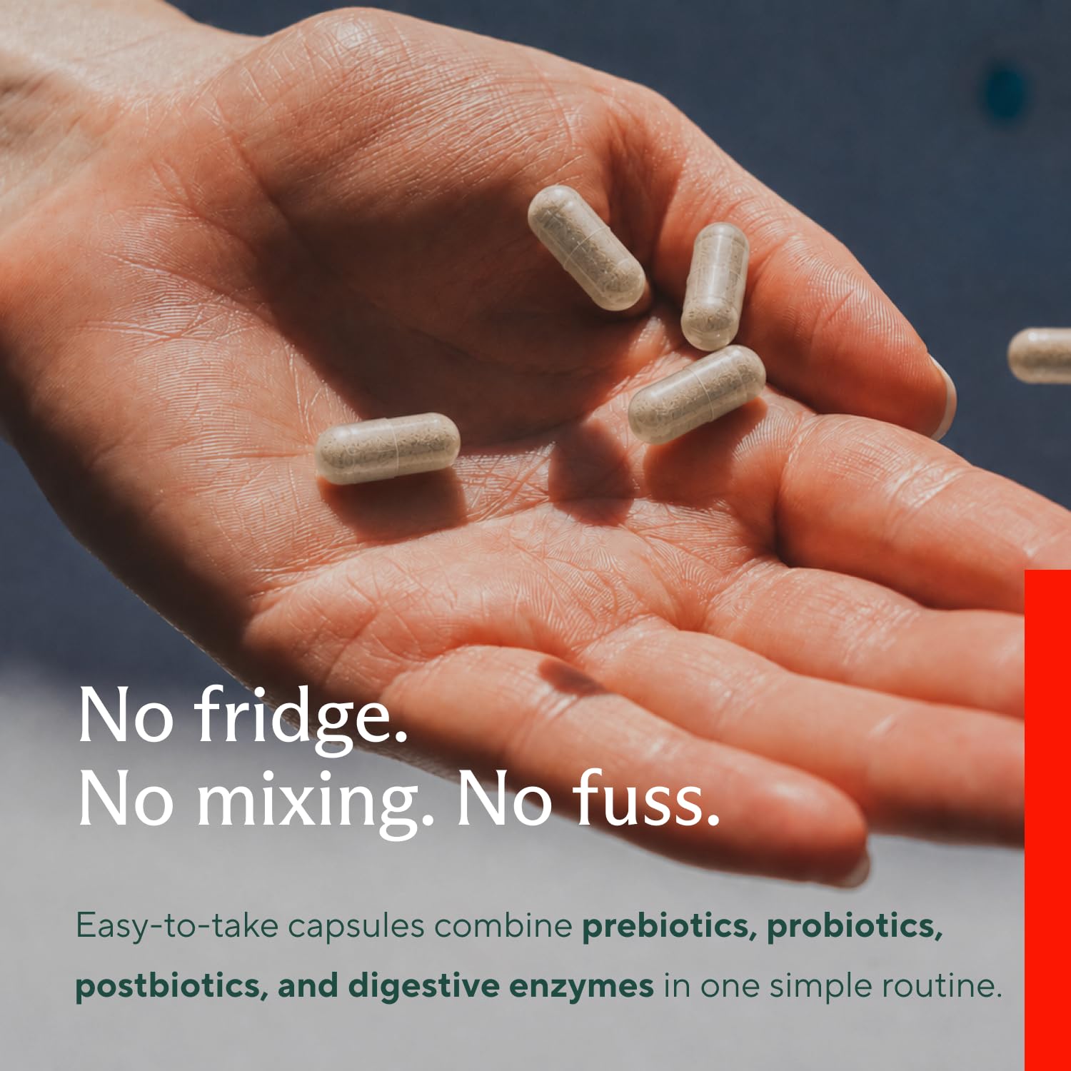 4-in-1 Probiotic Prebiotic & Postbiotic with Digestive Enzymes, 60 Capsules | Daily tribiotic for men & women with DE111, PreforPro, dried yeast fermentate & enzymes; 30 servings, no refrigeration