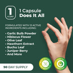 PurePremium Blood Pressure Supplements with Hawthorn Berry, Hibiscus - 90ct | Garlic & Vitamin B12 - Nitric Oxide Supplement for Normal Heart Health, Circulation Health & Blood Pressure Support, USA Made