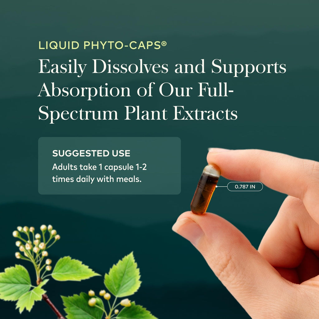 Gaia Herbs Turmeric Supreme Extra Strength - Helps Reduce Occasional Discomfort from Normal Wear & Tear*- 616 mg Organic Turmeric Curcumin Supplement with Black Pepper- 60 Vegan Liquid Phyto-Capsules
