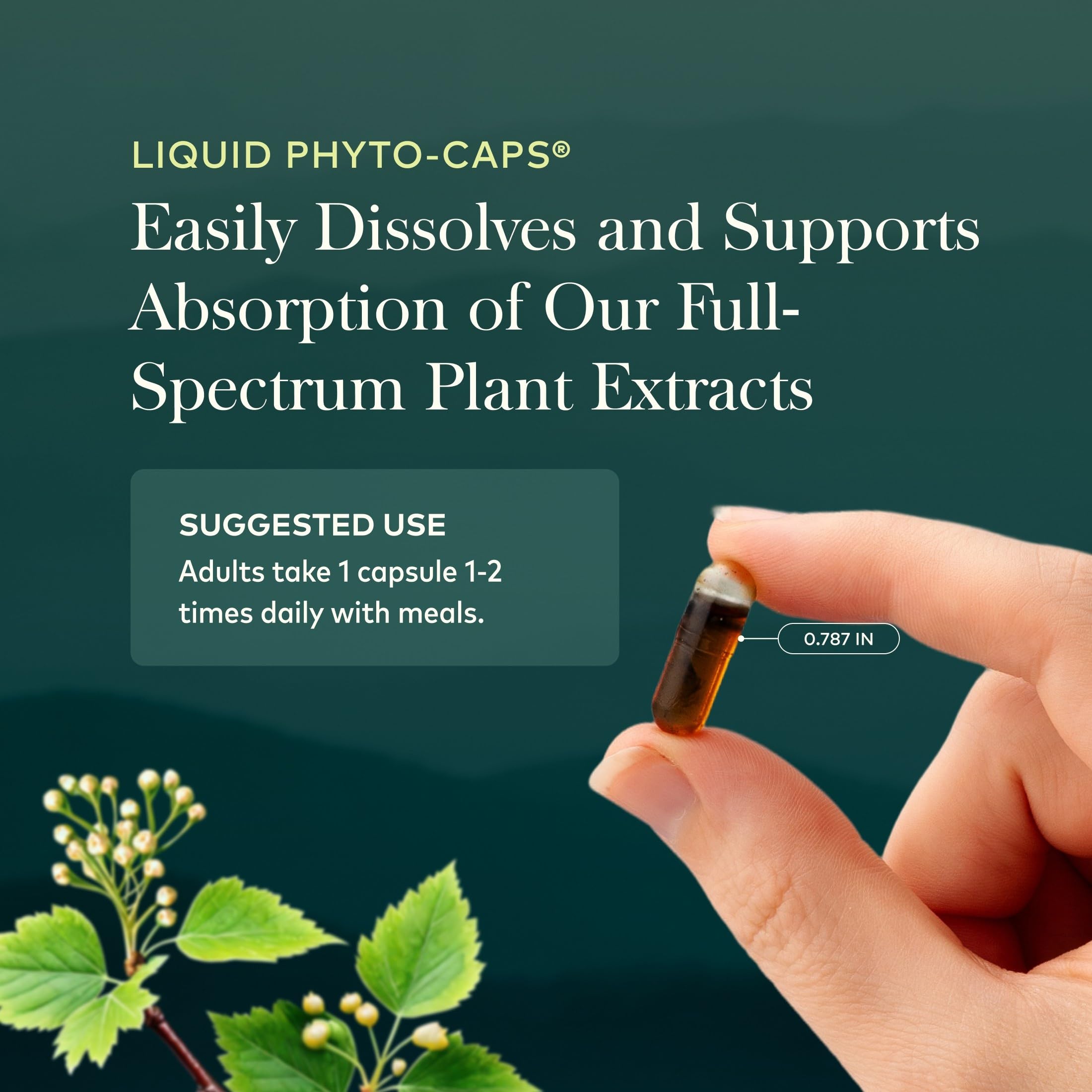 Gaia Herbs Turmeric Supreme Extra Strength - Helps Reduce Occasional Discomfort from Normal Wear & Tear*- 616 mg Organic Turmeric Curcumin Supplement with Black Pepper- 60 Vegan Liquid Phyto-Capsules