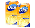 Buy now Dial Antibacterial Soap Bar, Gold, 6 Count (Pack of 2) at indiglob india