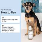 DedCool Pet Fragrance | 01 Taunt | Clean Luxury Pet Perfume for Dogs | Long-Lasting Deodorizing Spray | Non-Toxic, Vegan | 8.5 fl oz