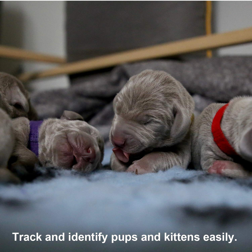Luter 15 Colors 20x1cm Puppy Collars, Soft Adjustable Whelping Collars