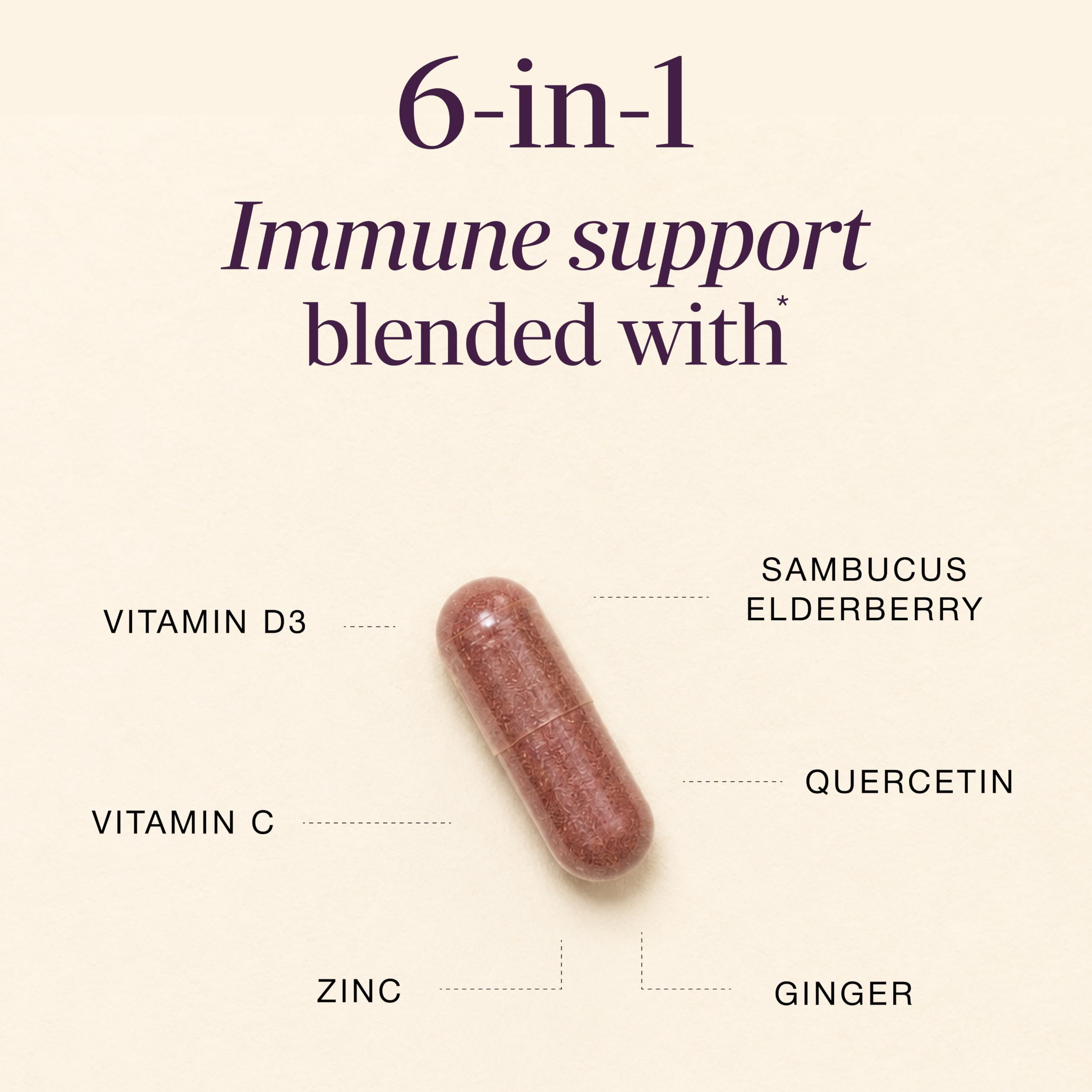 Elderberry Vitamin C and Zinc Capsules with D3 and Quercetin, 120 Count | 6-in-1 Immune Support Supplements For Adults, Sambucus Extract Zink Ginger USA Made in NSF GMP Certified Facility By Sandhu's