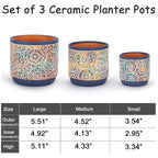 DeeCoo 3 Piece Ceramic Plant pots Indoor Pots Set with Drainage Holes, 5.7/4.7/3.5/inch, Modern Decorative pots Outdoor Plants Lilies, Cacti, Succulents, Snakes, and Bamboo (Blue)