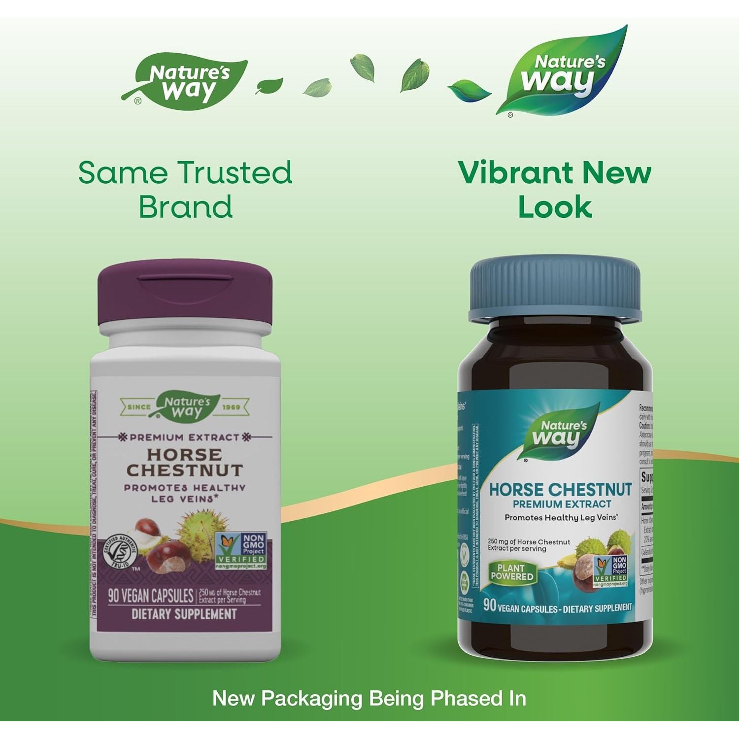 Buy now Nature's Way Horse Chestnut Extract, Premium Extract, Promotes Healthy Leg Veins*, 250 mg per Serving, Vegan, 90 Capsules (Packaging May Vary) at indiglob india