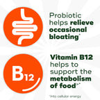 Align Probiotic, Bloating Relief + Food Digestion, Probiotics for Women and Men, Probiotic Helps Soothe Occasional Bloating*, with Vitamin B12 to Help Break Down Food into Cellular Energy*,60 Gummies
