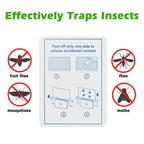 LFSYS 40 Packs Refill Card(Refills Only) for Plug in UV Light Fly Trap, Sticky Board Refills for LFSYS Plug-in Fly Trap