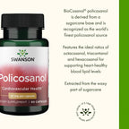 Buy now Swanson Policosanol - Supplement Helps Support Cardiovascular Health - All Natural Formula Aids Good Heart Health & Function - Helps Maintain Healthy Cholesterol Levels (60 Capsules, 20mg Each) at indiglob india
