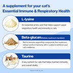 Doctor By FELYSIN L-Lysine for Cats Lickable Immune Support Supplement Allergy Relief, Sneezing, Runny Nose, Cold, Watery Eyes Respiratory Health with Beta-Glucan & Taurine – 30 Individually Packaged
