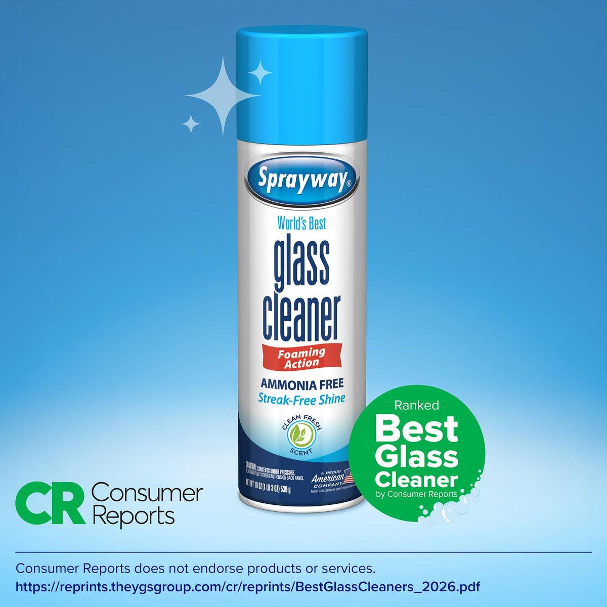 Sprayway Glass Cleaner Foaming Aerosol Spray, 19oz, Pack of 2 | Ammonia-Free, Streakless, Fast-Acting | Cleans & Polishes Glass Surfaces | Fresh Scent, Removes Fingerprints, Dust, Dirt, Smoke Film