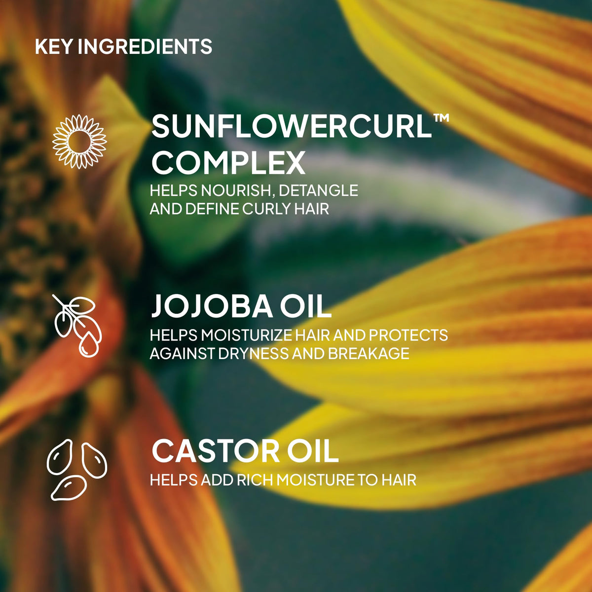 VERB Curl Oil for Waves, Curls, Coils, 3 fl oz, Frizz-Free Definition Serum