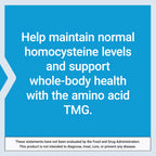 Life Extension TMG, trimethylglycine, Encourages Healthy homocysteine Levels, Non-GMO, Gluten-Free, Vegetarian, 60 Capsules | Trimethylglycine (TMG) Helps Maintain Already Normal Homocysteine Levels, Non-GMO, Gluten-Free & Vegetarian Capsules