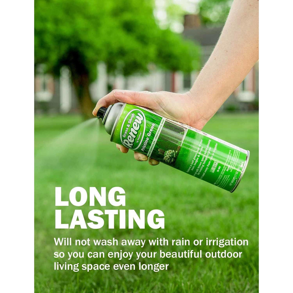 Seymour RENEW Grass and Shrub Spray Paint, Pristine Green, 17 oz. Can.