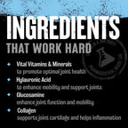 Buy now Animal Flex Powder - Joint Support Supplement for Pain Relief, Repair and Restore Muscles with Turmeric, Glucosamine, Chondroitin, MSM, Collagen and Boswellia, Great Tasting Orange Flavor, 30 Scoops at indiglob india