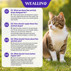 Flea and Tick Prevention for Large Cat, Fleas and Ticks Treatment for Cats