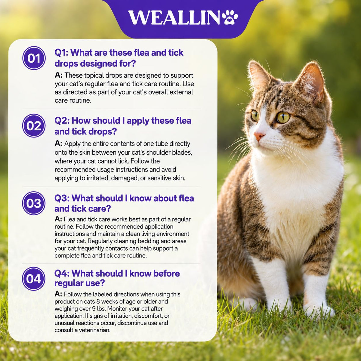 Flea and Tick Prevention for Large Cat, Fleas and Ticks Treatment for Cats