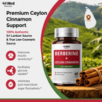 HiWell Berberine with Ceylon Cinnamon 300mg, Gentle 4-in-1, 30-Day Supply