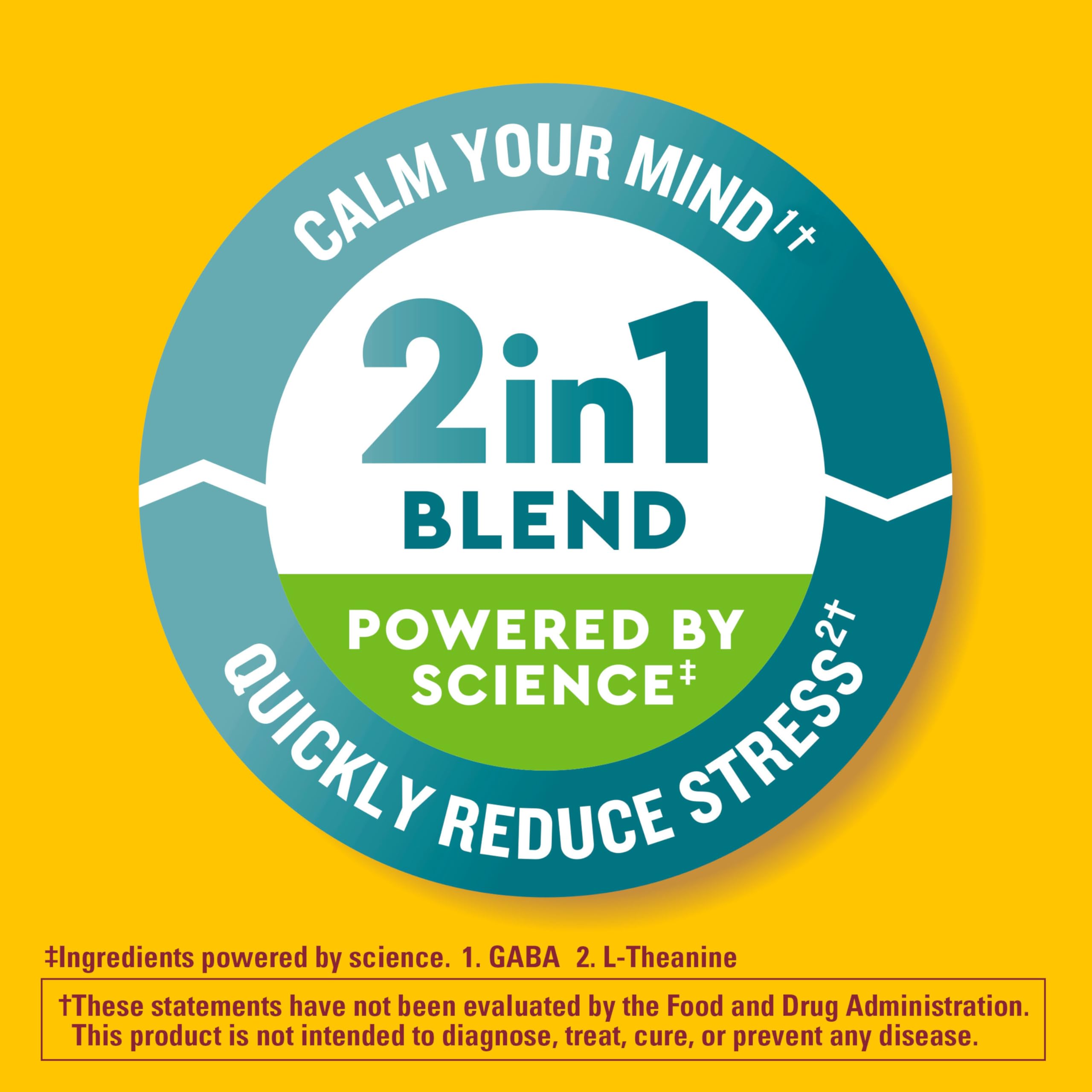 Nature Made Wellblends Stress Relief Gummies, 40 Strawberry Flavor Gummies | L theanine 200mg to Help Reduce Stress, with GABA 100mg, Same Day Stress Support