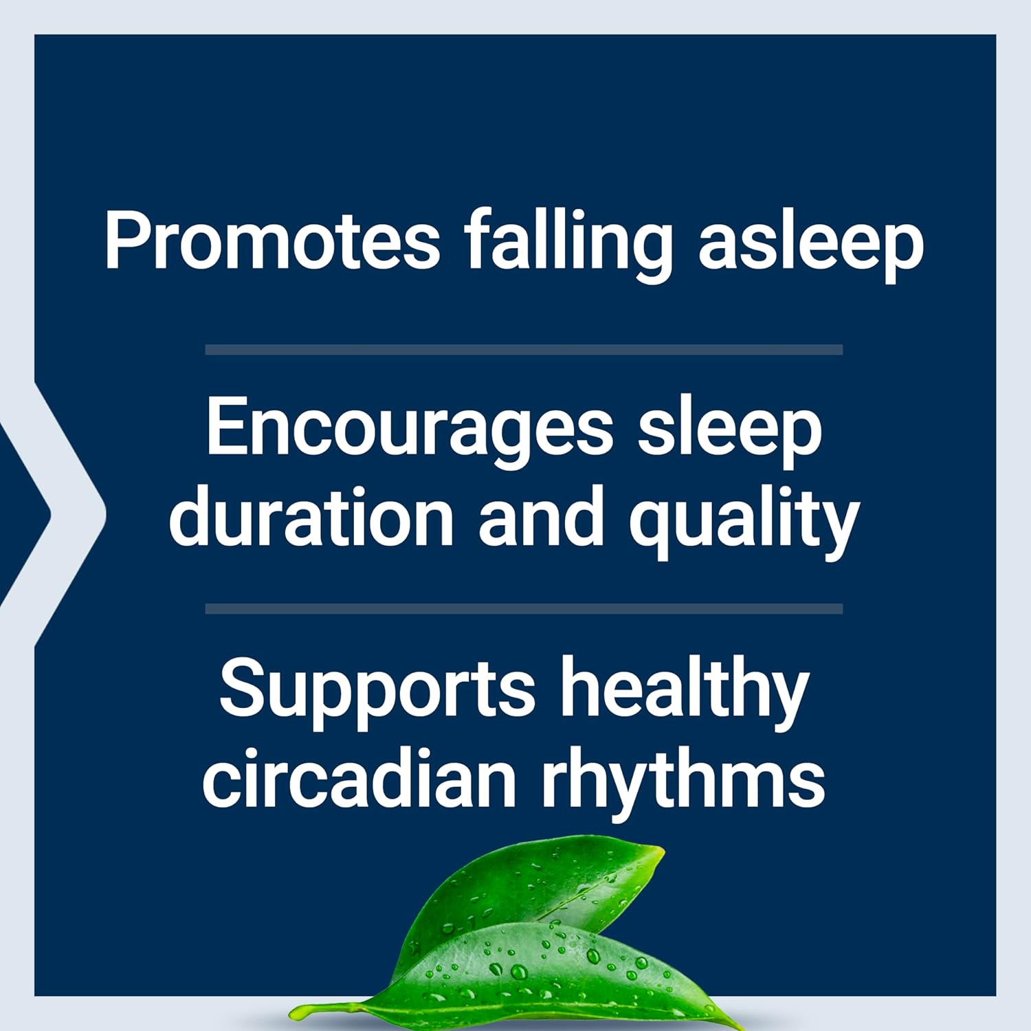 Buy now Life Extension Melatonin 6 Hour Timed Release, 300 mcg, Extended-Release Formula for Gentle Sleep Support, Healthy circadian Rhythms, Cellular Defense, Gluten-Free, Non-GMO, Vegetarian, 100 Tablets at indiglob india