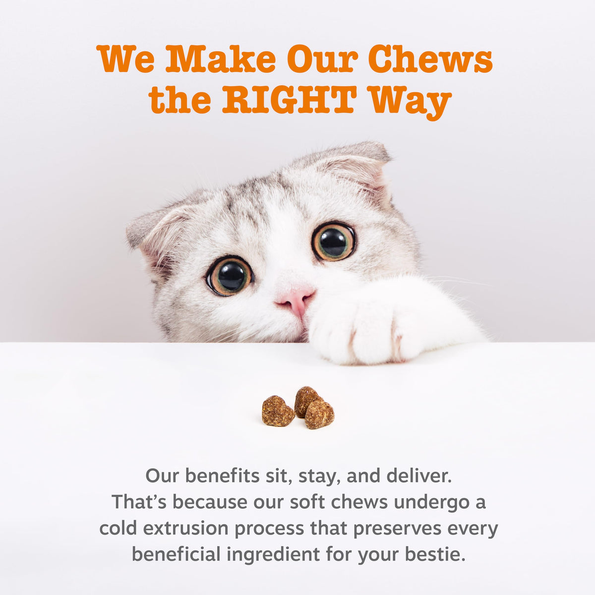Zesty Paws Cat Calming Bites - Ashwagandha, Bacon, 60 Ct
