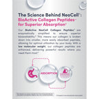 NeoCell Grassfed Collagen Peptides Powder | 14 oz | Unflavored | for Women and Men | Hair, Skin, & Nails