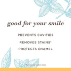 Buy now Burt's Bees Extra White Toothpaste, Fluoride Toothpaste, Natural Flavor, Mountain Mint, 4.7 oz, Pack of 3 at indiglob india