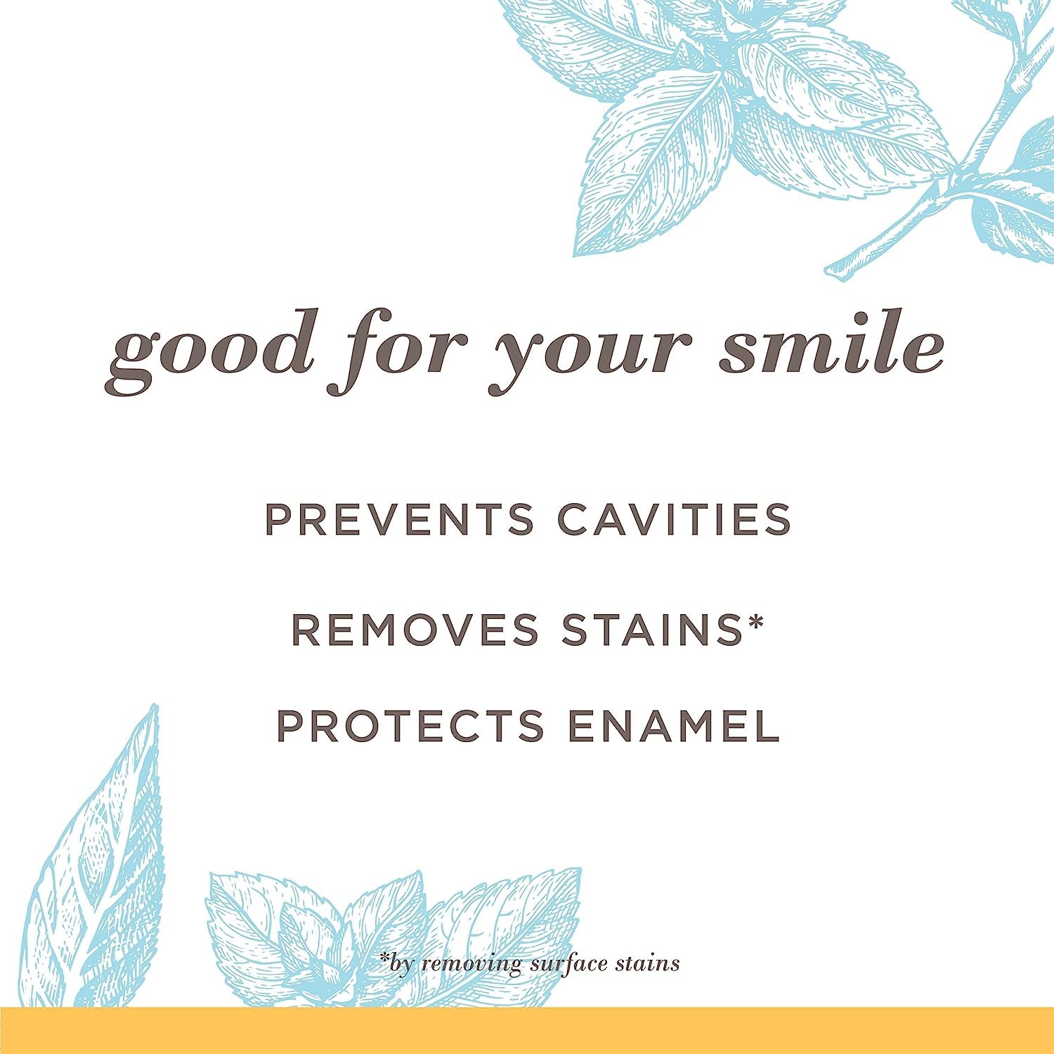 Buy now Burt's Bees Extra White Toothpaste, Fluoride Toothpaste, Natural Flavor, Mountain Mint, 4.7 oz, Pack of 3 at indiglob india