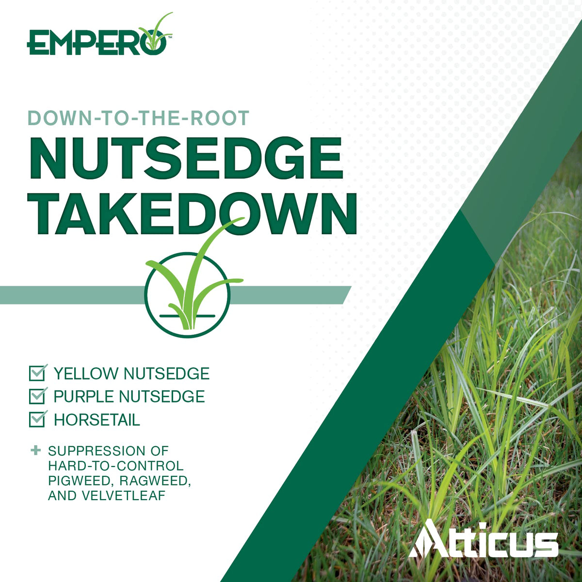 Atticus Empero Nutsedge Killer (1.33 oz) Halosulfuron Herbicide Concentrate