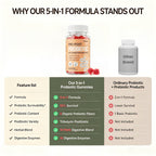 Probiotic Gummies, Probiotics for Gut Health, 0 Sugar - 60 Counts