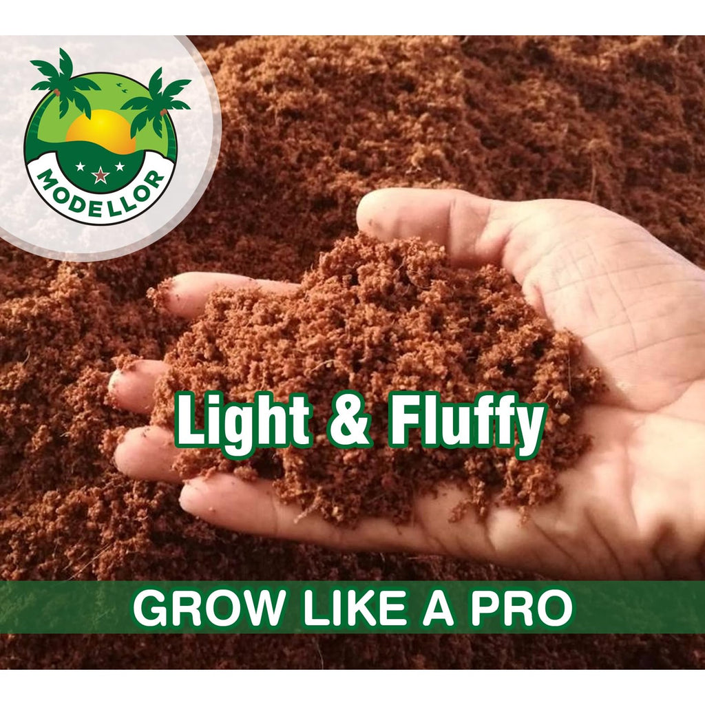 MODELLOR (10 lb) Premium Super Washed Coco Coir Brick, High Yield 18 to 20 gallons [72 to 80 quarts], Seed Starter, Organic, pH Balanced, Gardening, Indoor, Outdoor use