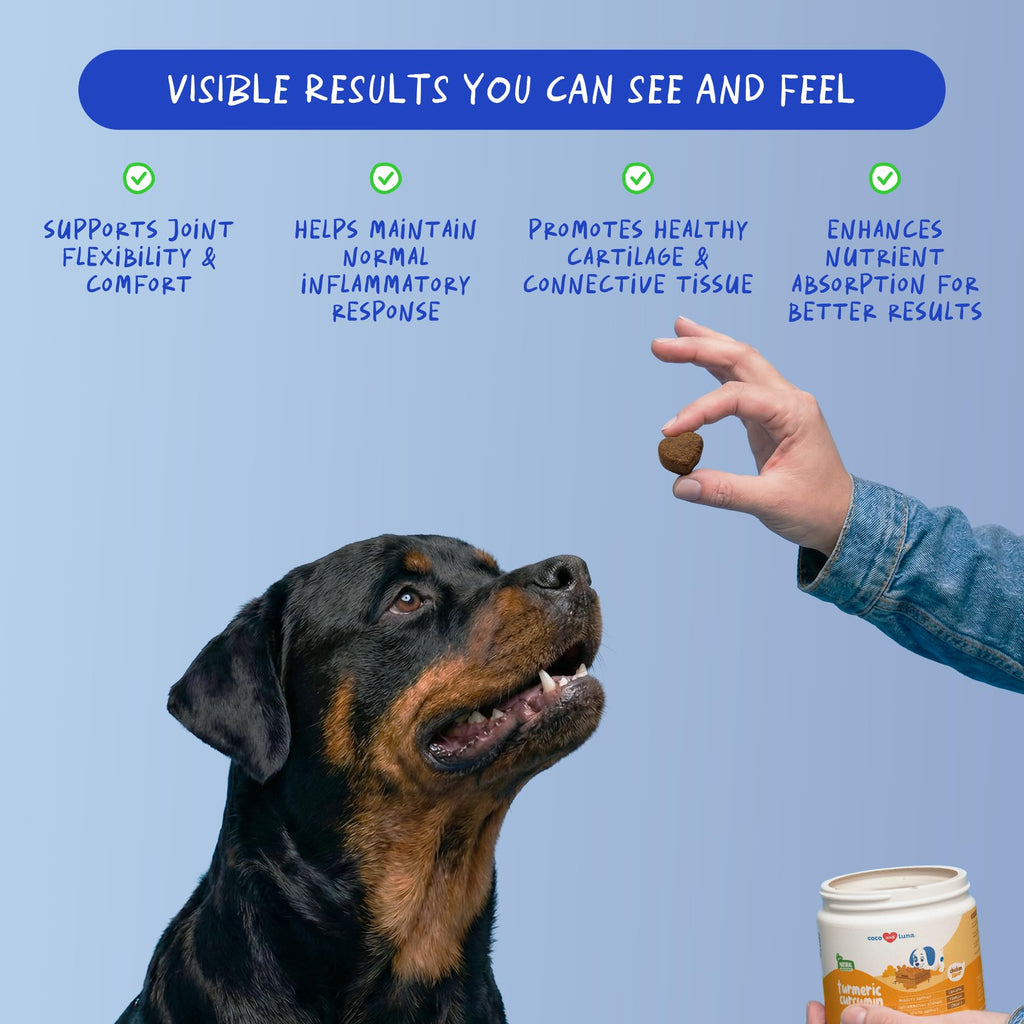 Turmeric Chews for Dogs, Anti-Inflammatory Supplement for Dog Joint Support