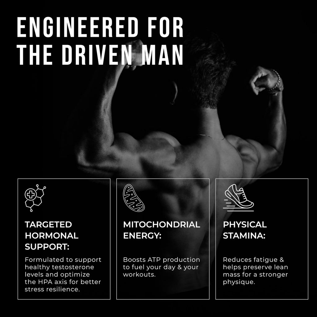 Testosterone Support Powder for Men, Energy & Stamina, 30 Servings